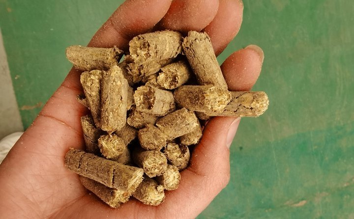 秸稈飼料顆粒機提高秸稈利用率，飼料顆粒機是以玉米、豆粕、秸稈、草、稻殼等為原料，通過粉碎原料后直接壓制成顆粒的飼料加工機械。
